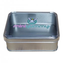 Custom Printed 103x166x36 mm Matte Silver Box with Crystal Lid