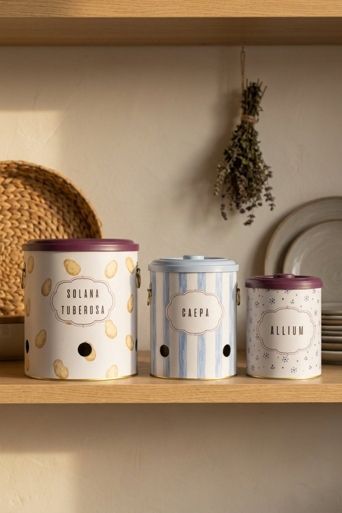 Pat-Soğan-Sarımsak 3 lü Set/Damson — Patates Soğan ve Sarımsak Saklama Kabı — görsel 1 / 2 — Tinbox