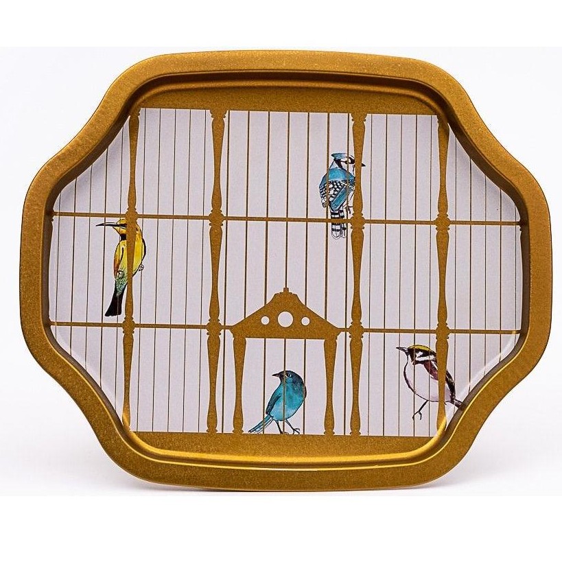 Kavisli dalgalı kenarlı tepsi 278x332 mm Renkli kuşlarla vintage kuş kafesi illüstrasyonu — Tepsiler — Tinbox