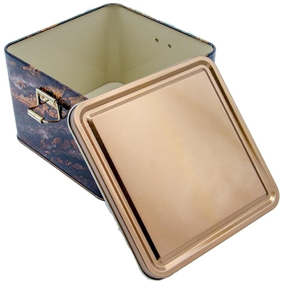 158x158x110 mm Kare Metal Saklama Kutusu 2,5 L Tel Tokalı ve Şeffaf Kapaklı Kaya ve Altın Renk — Kare Kutular — görsel 2 /…