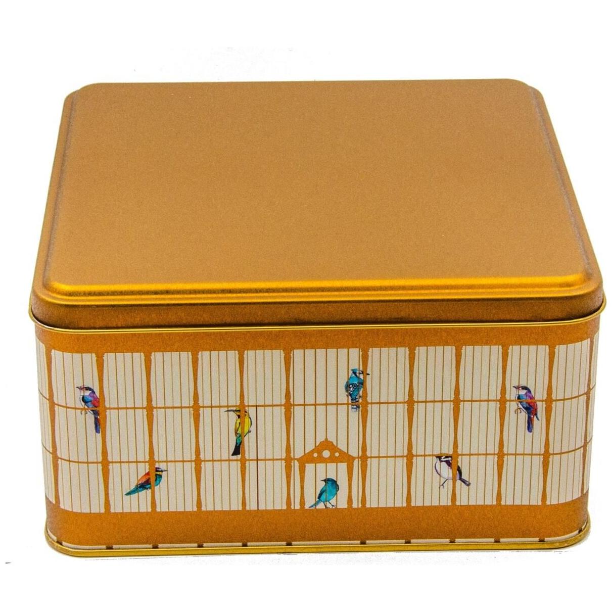 198x198x100 mm Kare Metal Saklama Kutusu 3.7L Renkli Kuşlu Vintage Kuş Kafesi İllüstrasyonu — Kare Kutular — Tinbox